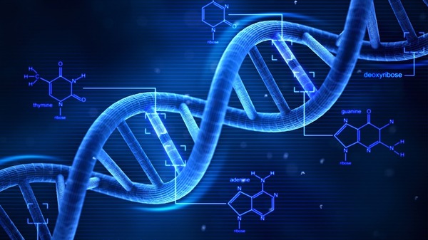 importance of dna